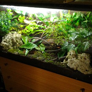 2014-04-11 08.25.01.jpg