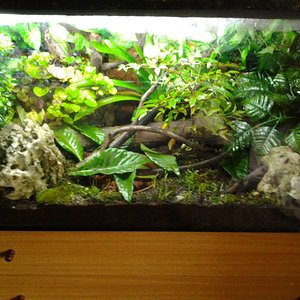 2014-04-11 08.25.41.jpg