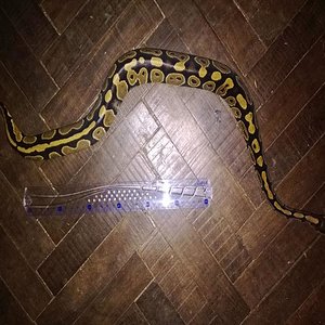 cam 2504 005 - copia.jpg