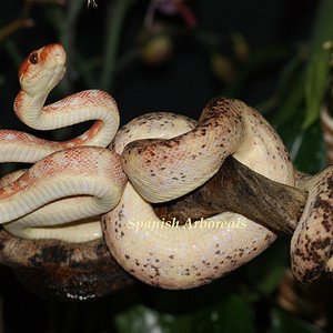 12-06-14 (1 año y 8 meses).JPG