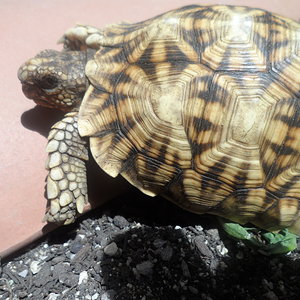 2013-06-26 20.06.36.jpg