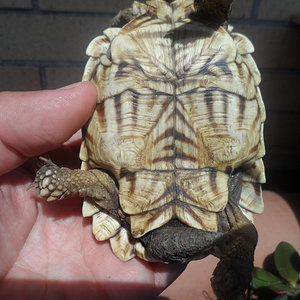 2013-06-26 20.07.04.jpg