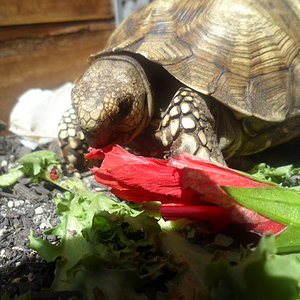 2013-06-26 20.05.43.jpg