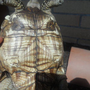 2013-06-26 20.07.30.jpg