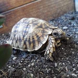 2013-07-08 21.03.49.jpg