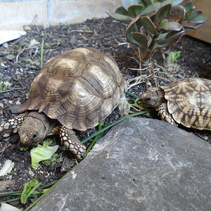 2013-07-08 21.09.03.jpg