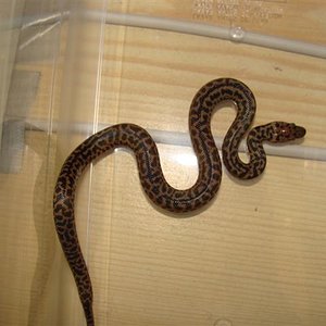 DSC06272 (Small).JPG