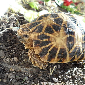 2013-09-05 17.32.39.jpg