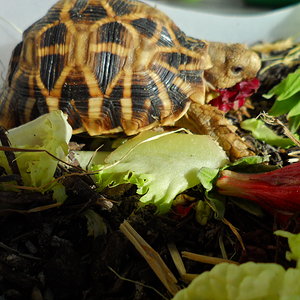 2013-09-05 17.28.42.jpg