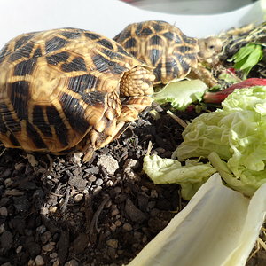 2013-09-05 17.29.19.jpg