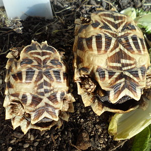 2013-09-05 17.29.57.jpg