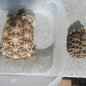 2013-09-06 19.24.35.jpg