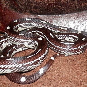 Captura de pantalla 2014-10-25 a la(s) 10.46.59.jpg