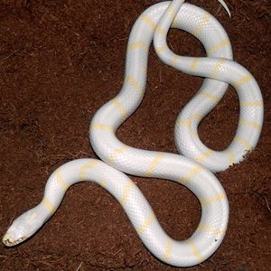 Captura de pantalla 2014-10-25 a la(s) 10.47.16.jpg