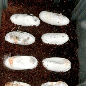 Captura de pantalla 2014-09-18 a la(s) 10.51.13.jpg