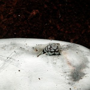 Captura de pantalla 2014-10-25 a la(s) 10.42.35.jpg