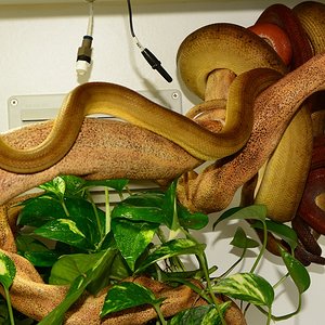 11 de Dic de 2014.JPG