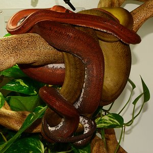 24 de Dic de 2014.JPG