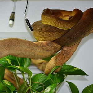 P.O.S. 15 de Mar de 2015.JPG