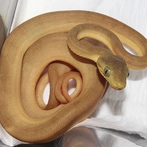 IMG_5906 - copia.JPG