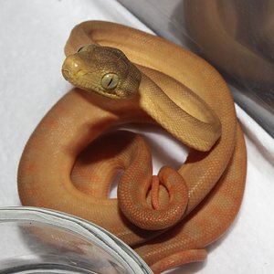 IMG_5926 - copia.JPG