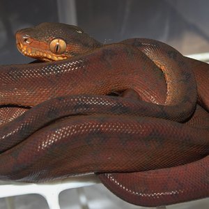 IMG_5937 - copia.JPG