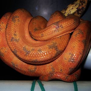 DSCN9808 - copia.JPG