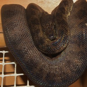 IMG_5456 - copia.JPG