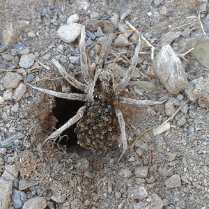 2014-10-12 18.07.22.jpg