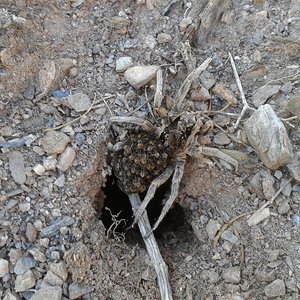 2014-10-12 18.07.09.jpg