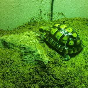 WhatsApp Image 2019-01-22 at 21.23.41.jpeg