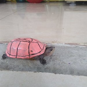 WhatsApp Image 2020-03-03 at 3.12.21 PM.jpeg