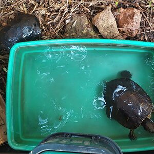 WhatsApp Image 2024-03-20 at 16.42.00.jpeg