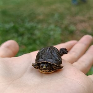 WhatsApp Image 2024-03-20 at 17.32.39.jpeg