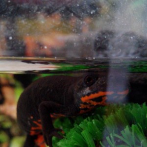 IMG 20140405 123232 1