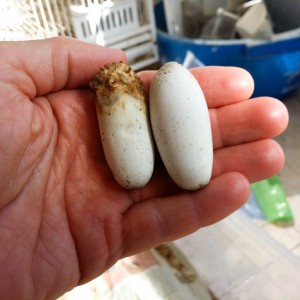 2014 07 07 10 20 36 1