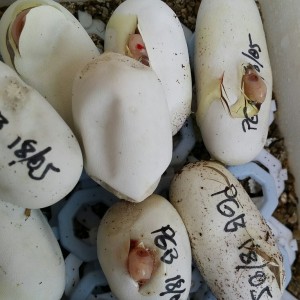 2014 07 18 14 17 33 1 1