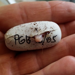 2014 07 18 18 53 36 1