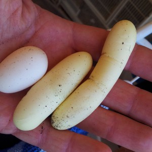 2014 07 21 16 13 49 1