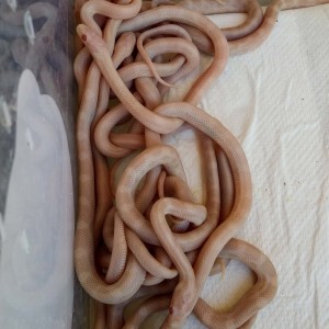 2014 07 22 15 30 45 1