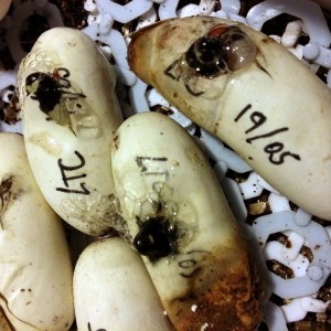 2014 07 23 06 06 43 1