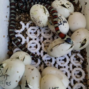 2014 07 24 14 14 12 1