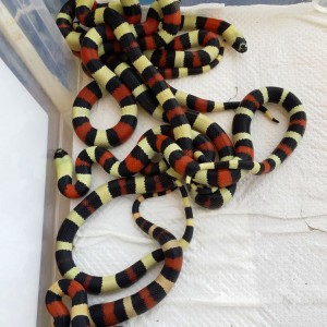 2014 07 24 15 31 27 1