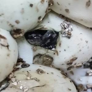 2014 07 25 14 25 36 1