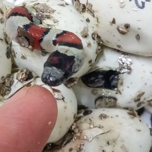 2014 07 25 15 44 18 1