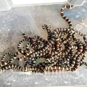 2014 07 26 08 59 05 1