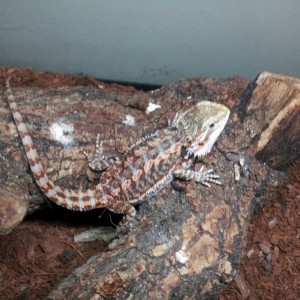 20130913 124716 resized