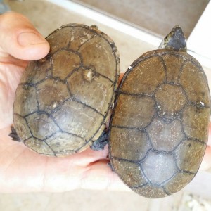 2014 06 21 16 26 00 1