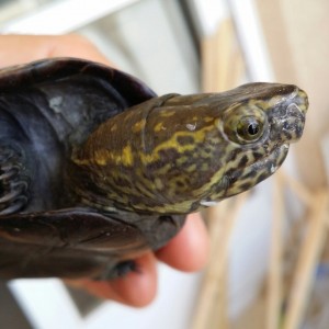 2014 06 21 16 27 02 1