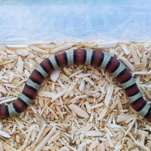 2014 09 02 13 58 06 1